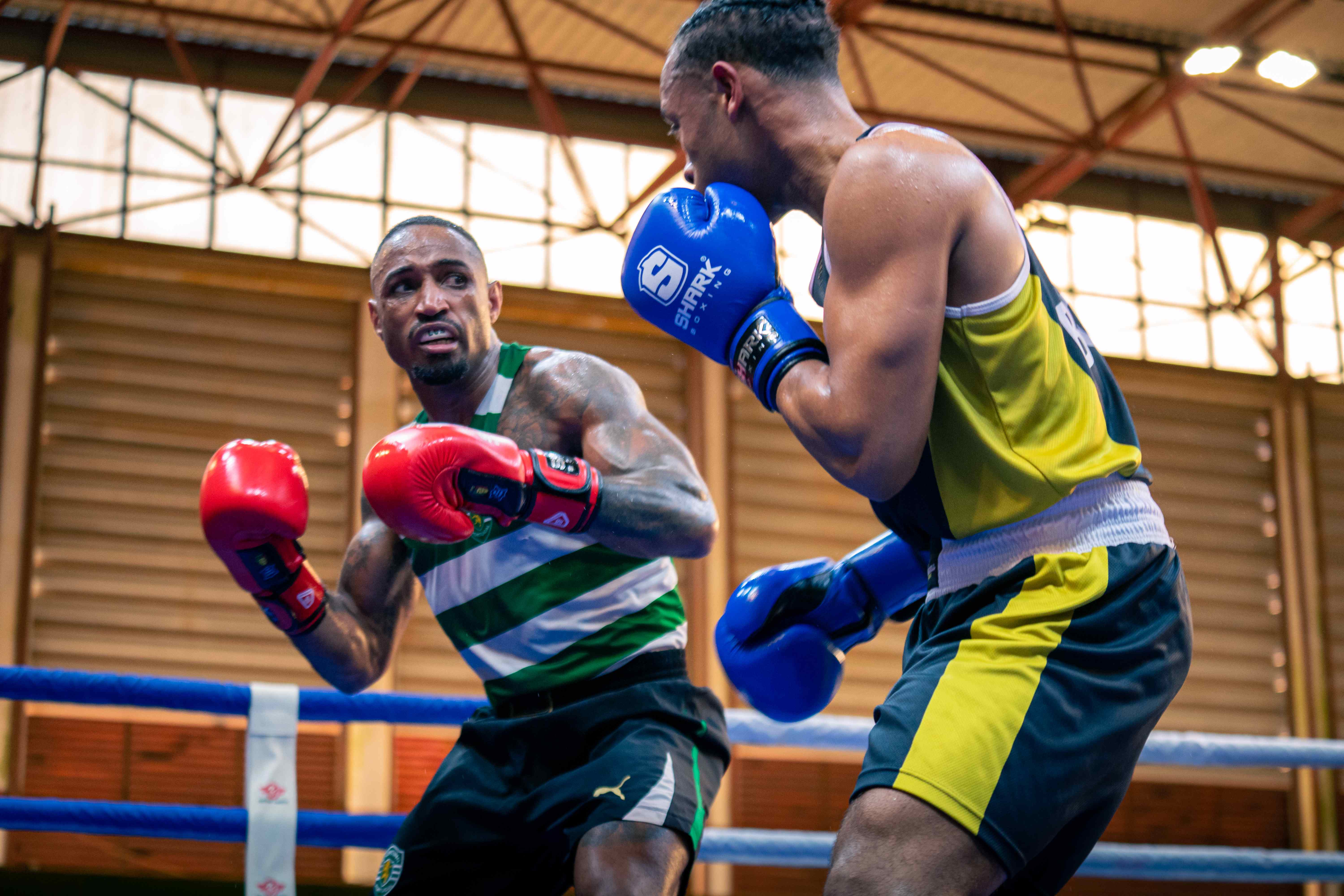 Combate de boxe Sporting